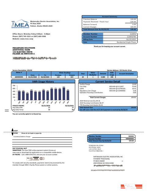 USA MEA Alaska electricity business utility bill template in Word and PDF formats